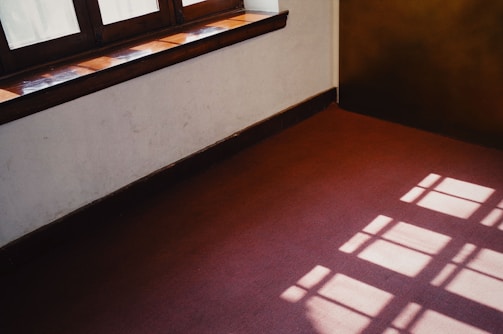 Bright, freshly cleaned carpet in a sunlit room with modern furniture.