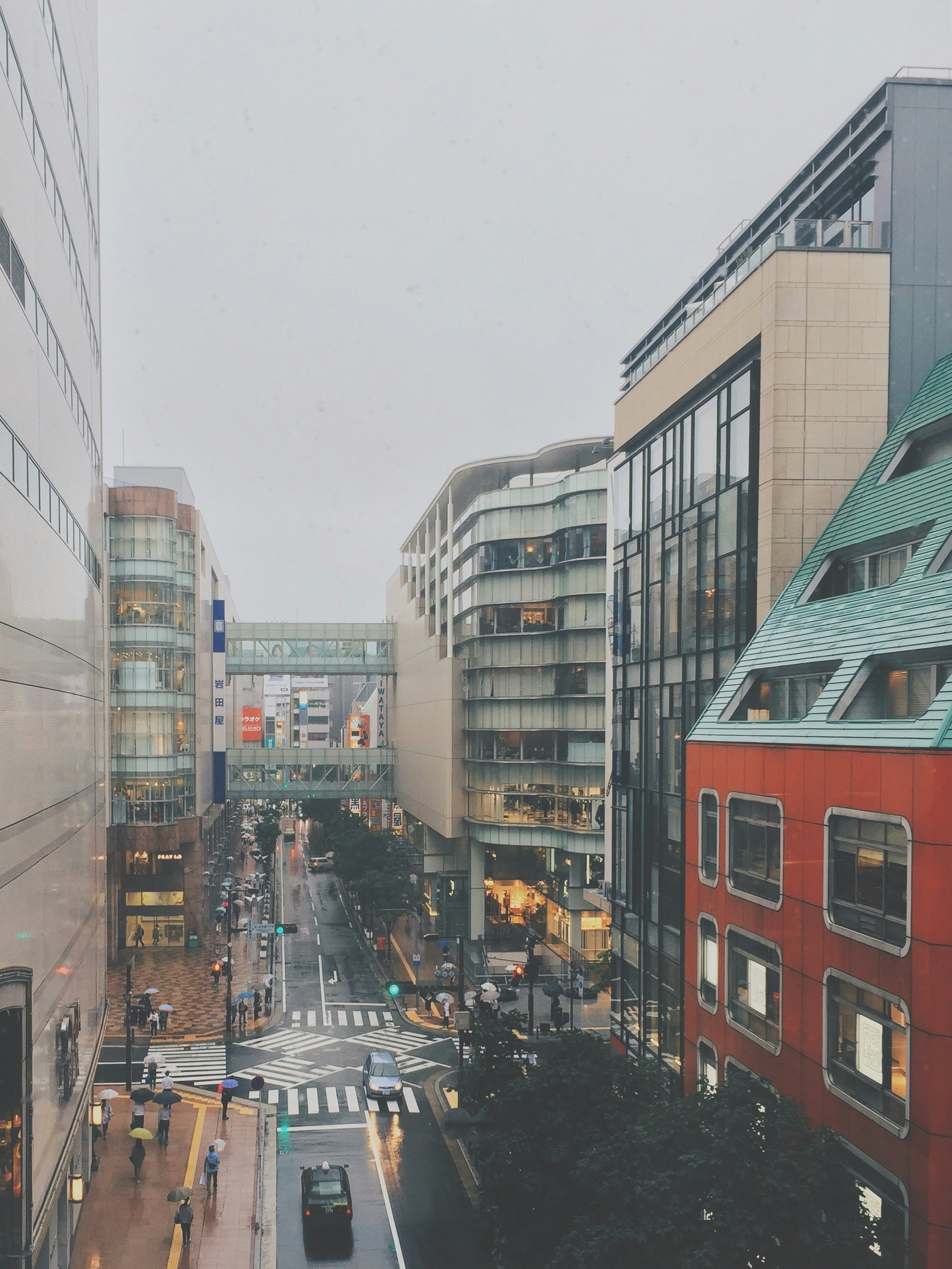 Photo by myr_a