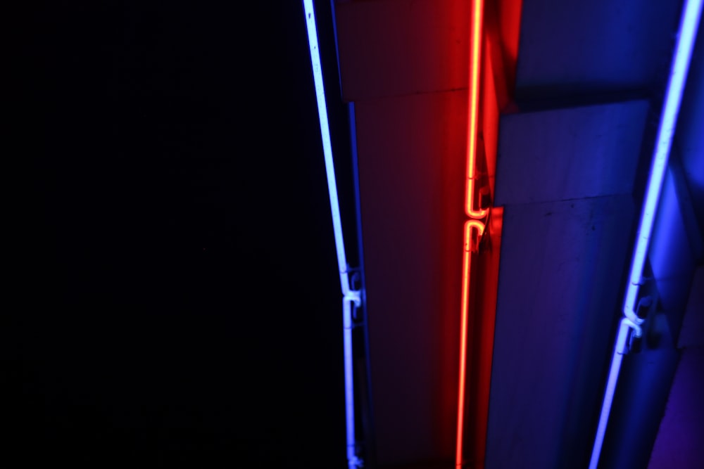 a couple of neon lights that are on a wall