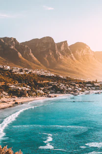 people on beach shore
