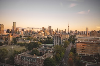 buildings during golden hour