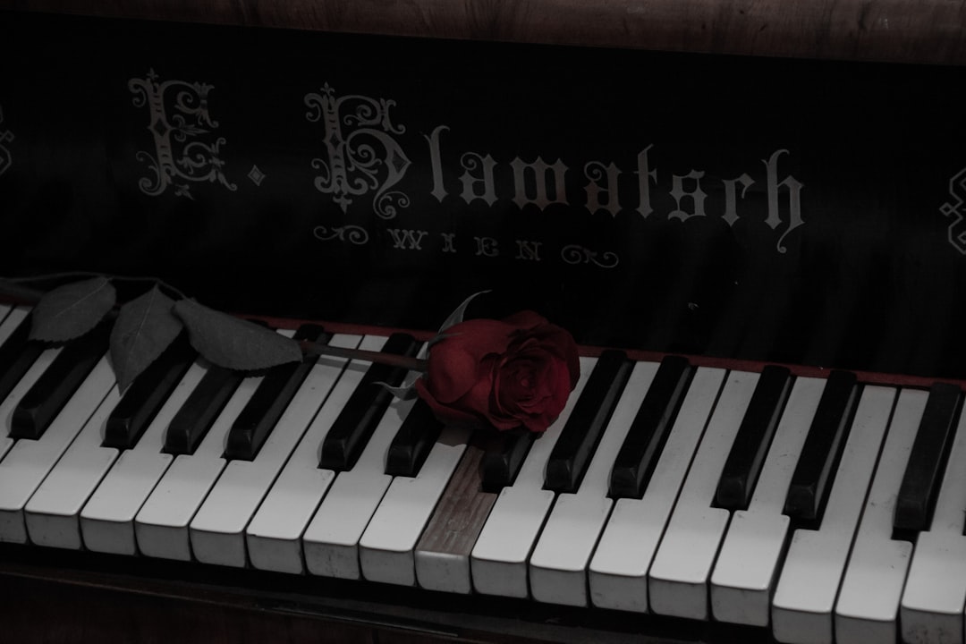 red rose on piano