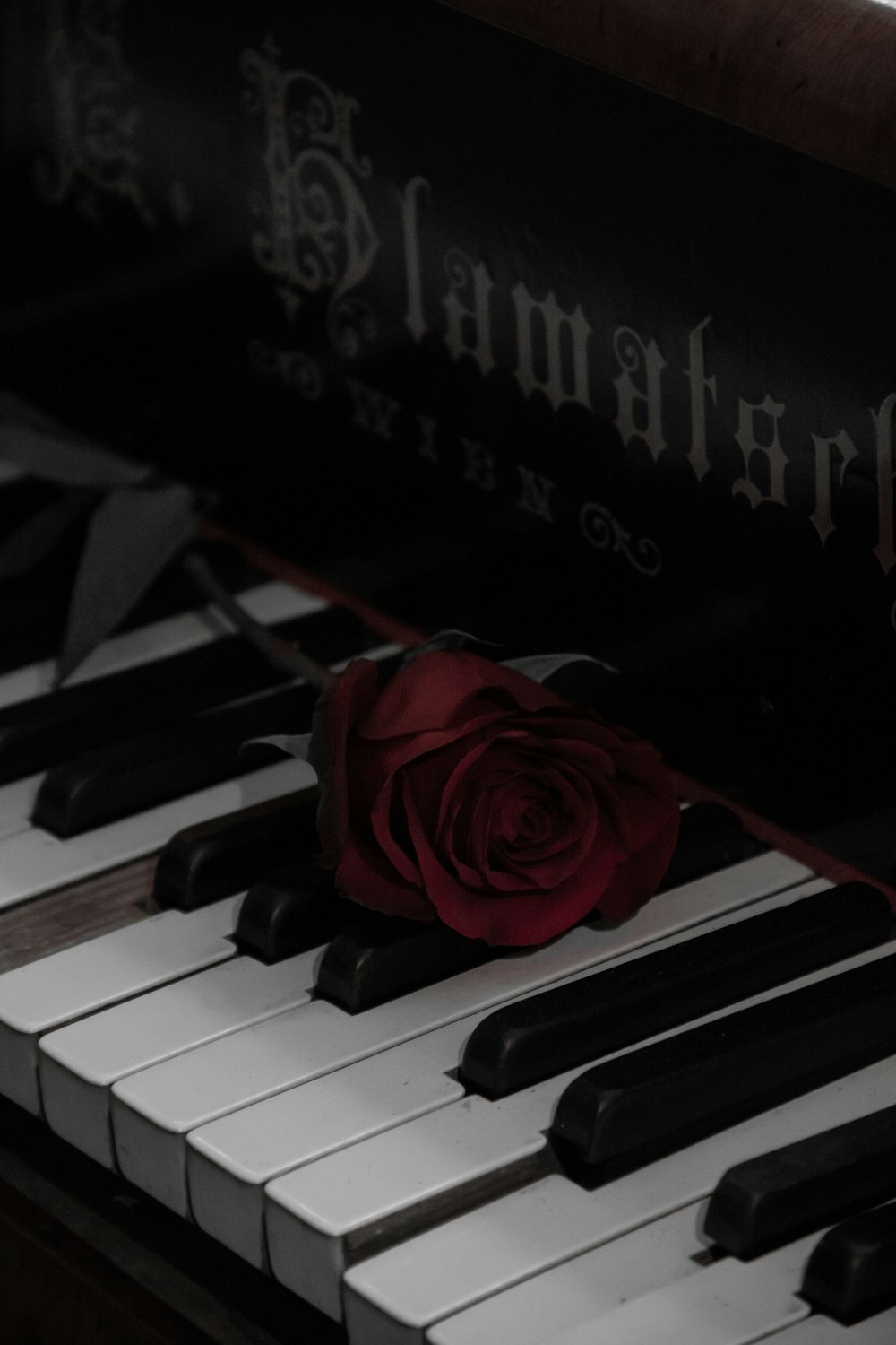 Foto de enfoque superficial de flor roja en piano