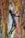 A textured abstract painting featuring a silhouette of a person with outstretched arms against a vibrant background. The energetic brushstrokes and mix of colors create a dynamic composition.