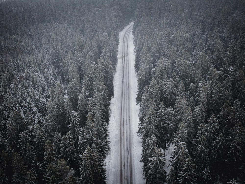 a road in the middle of a forest covered in snow