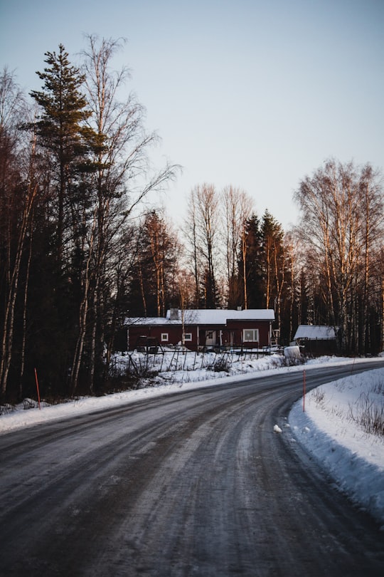 asphalt road in Lapland Finland