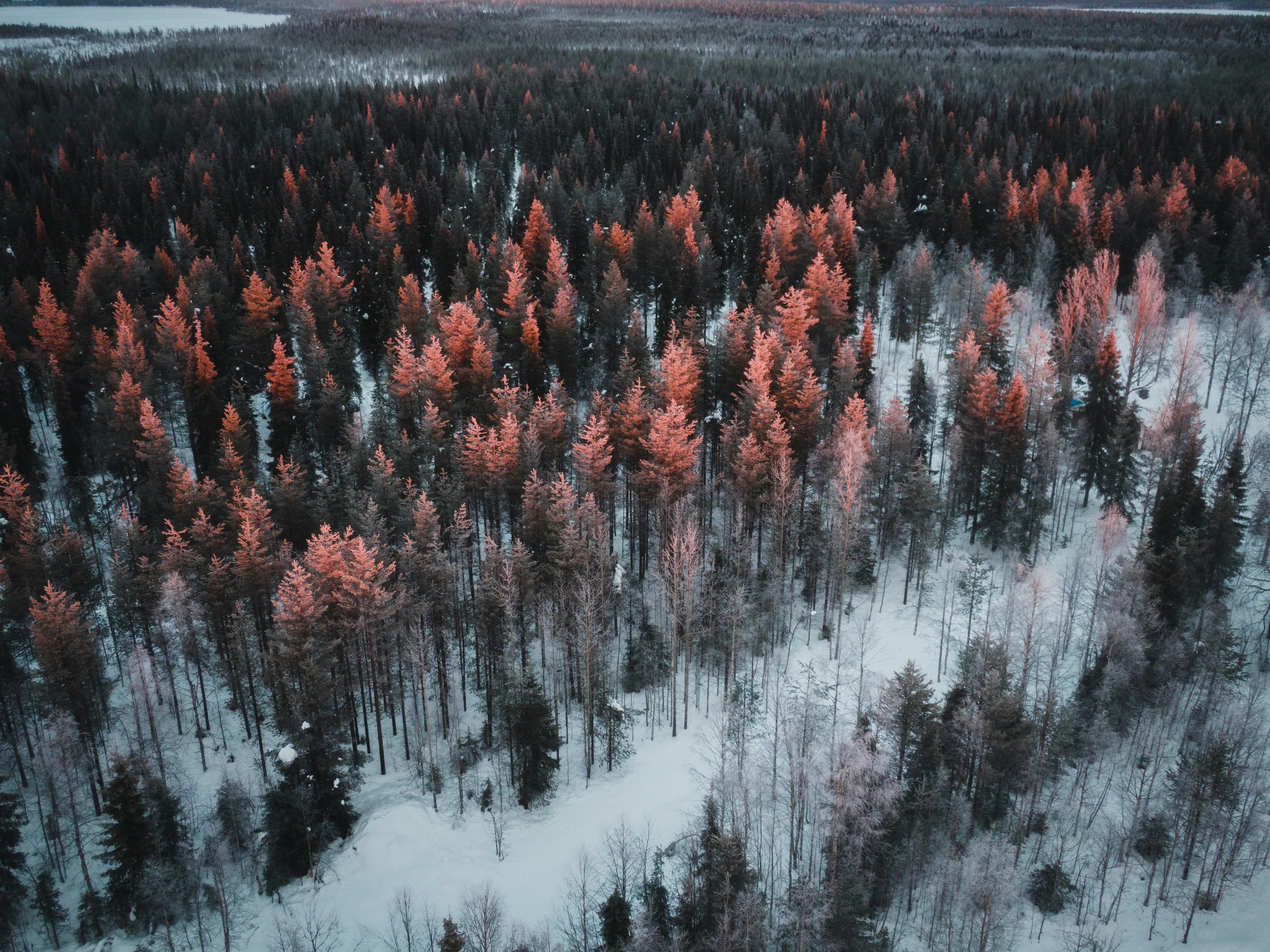 Photo by ochristosdemeneipiaedw