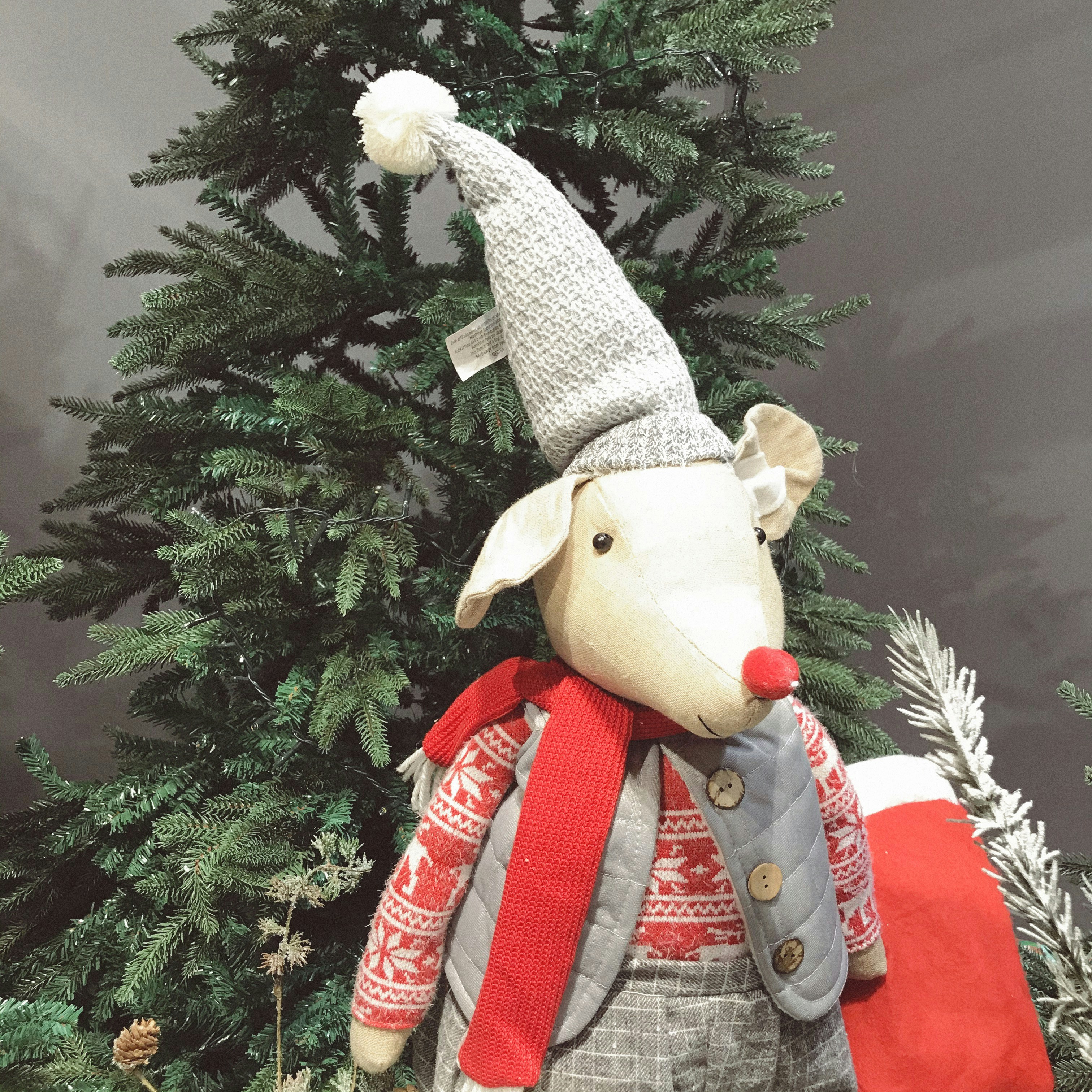 Photo by lily_ofthevalley