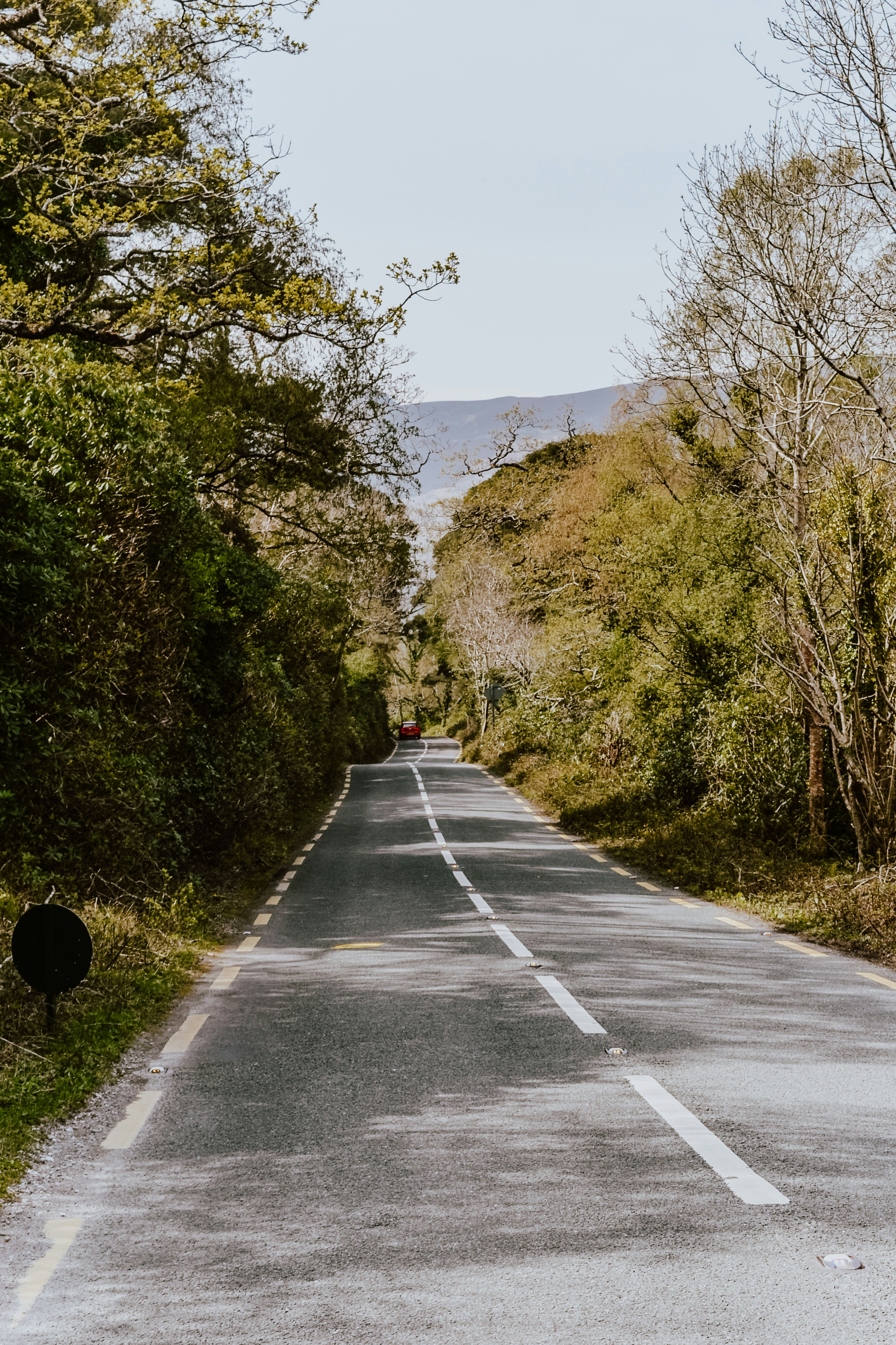 Photo by luana_niemann