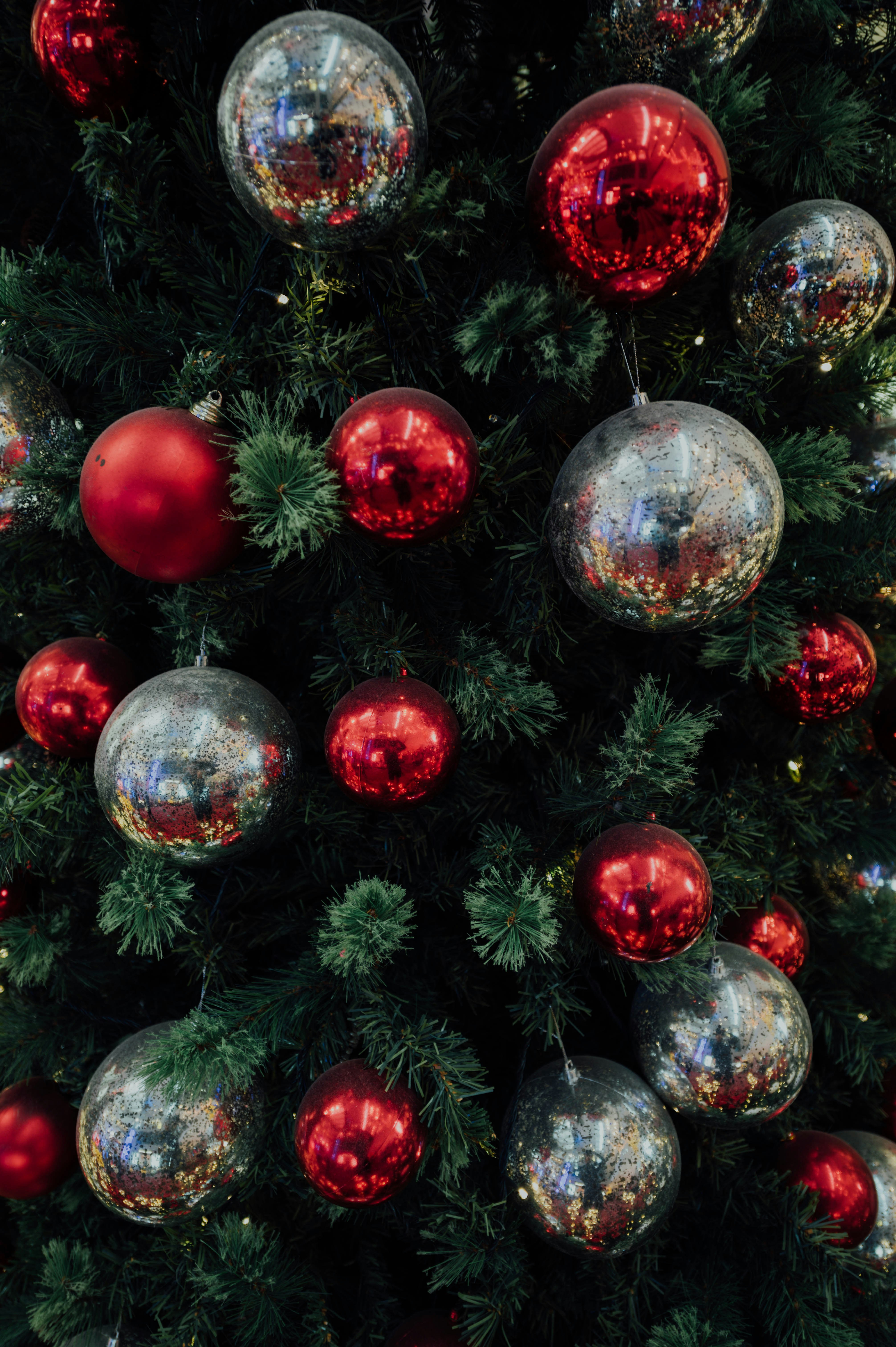 Photo by chuttersnap