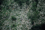 An aerial view of a green grave plot blending harmoniously with the surrounding meadow