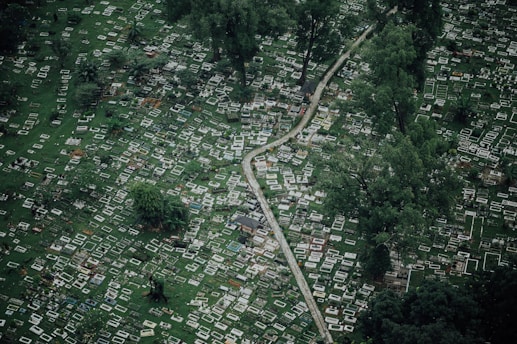 Aerial view of a cemetery with numerous grave markers spread across a lush green landscape, intersected by a narrow winding path. Tall trees are scattered throughout, adding a sense of depth to the scene.