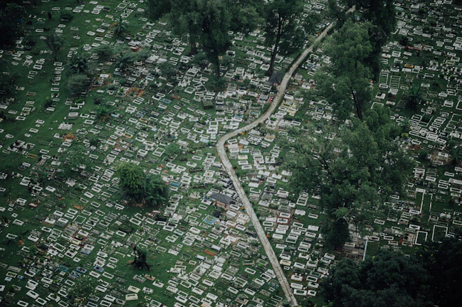 An aerial view of a green grave plot blending harmoniously with the surrounding meadow