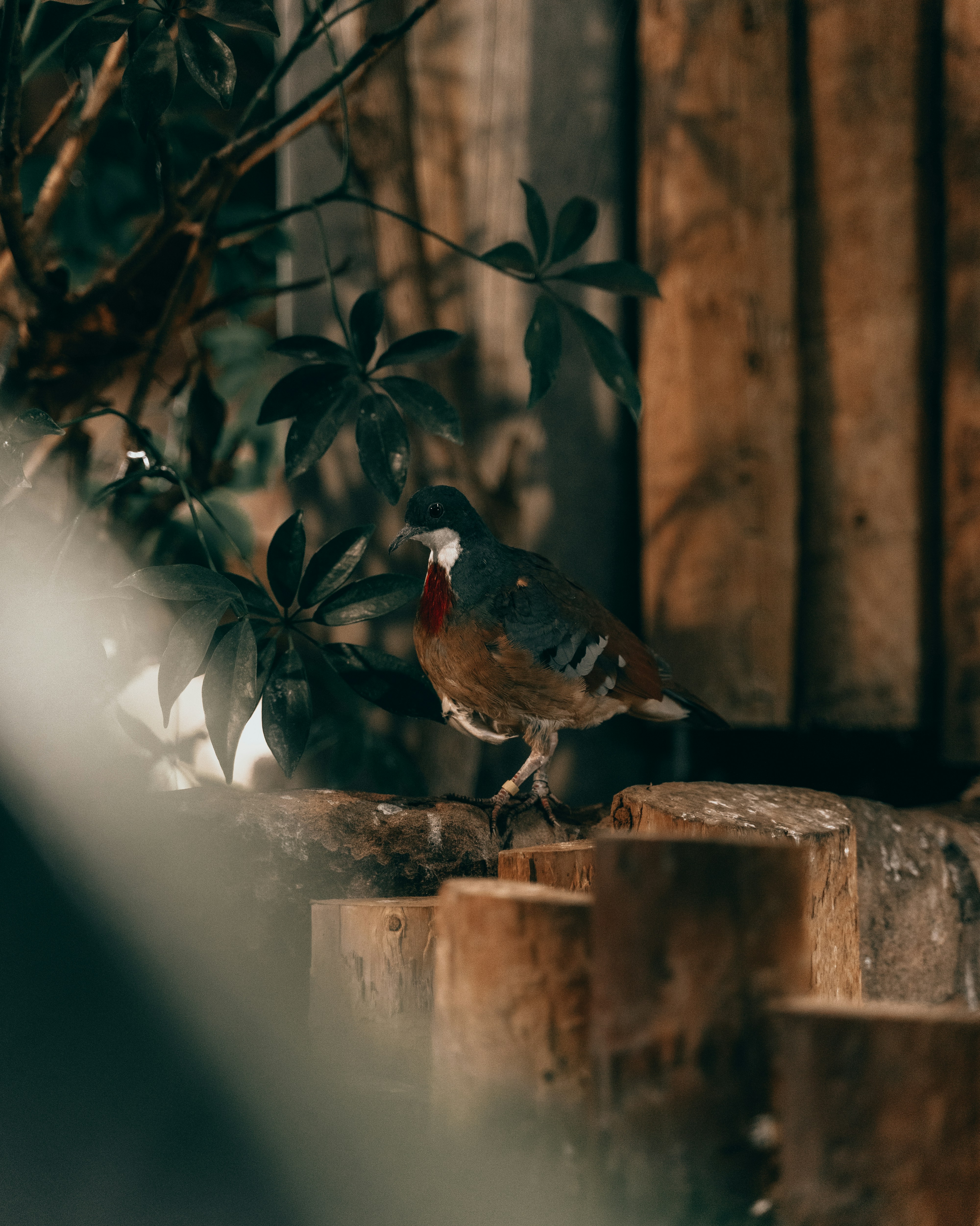 Photo by henry_ravenscroft_