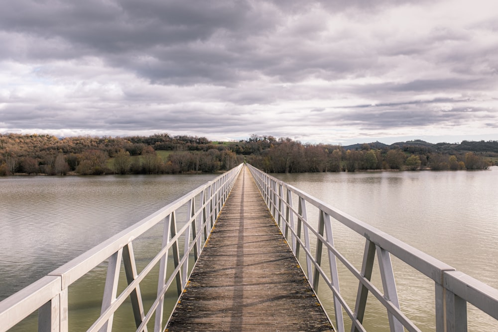 white and gray footbridge over a body of water during daytime