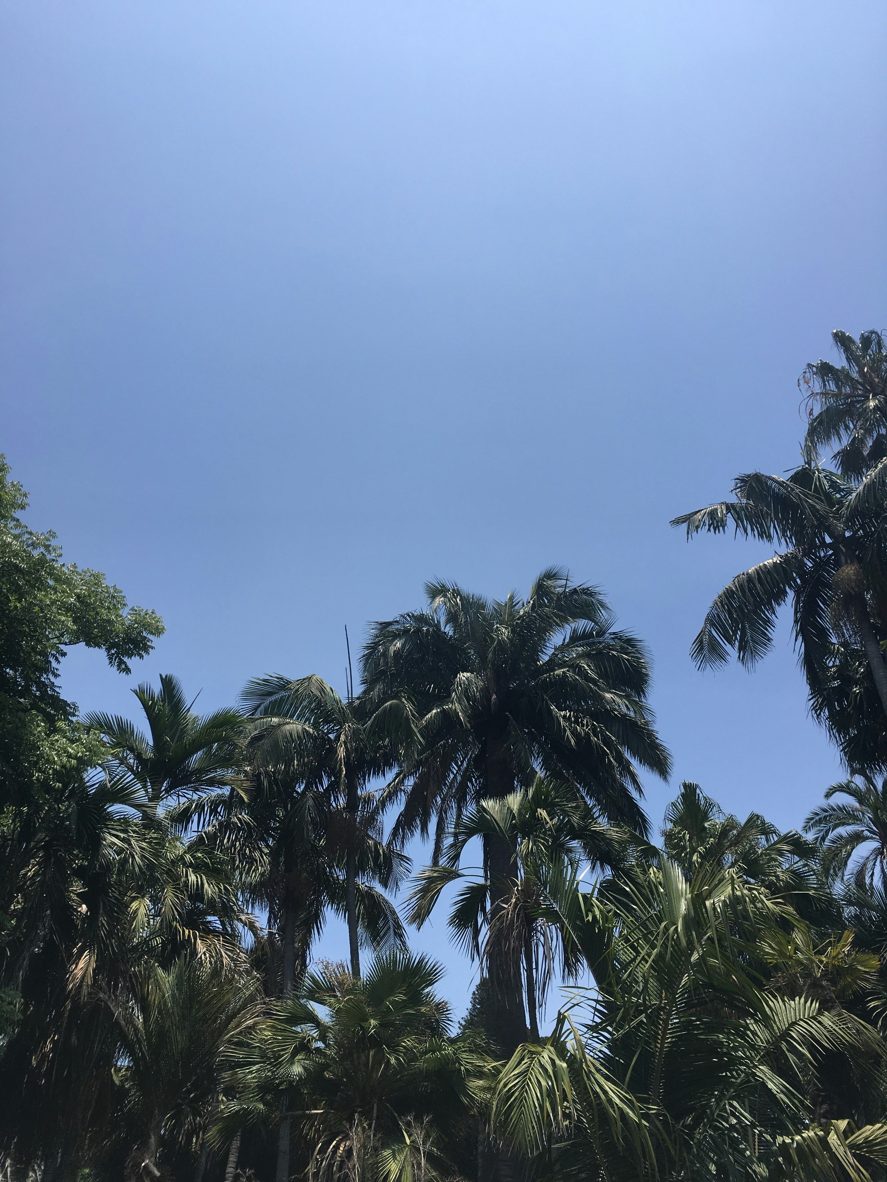 Photo by emma_rose_12