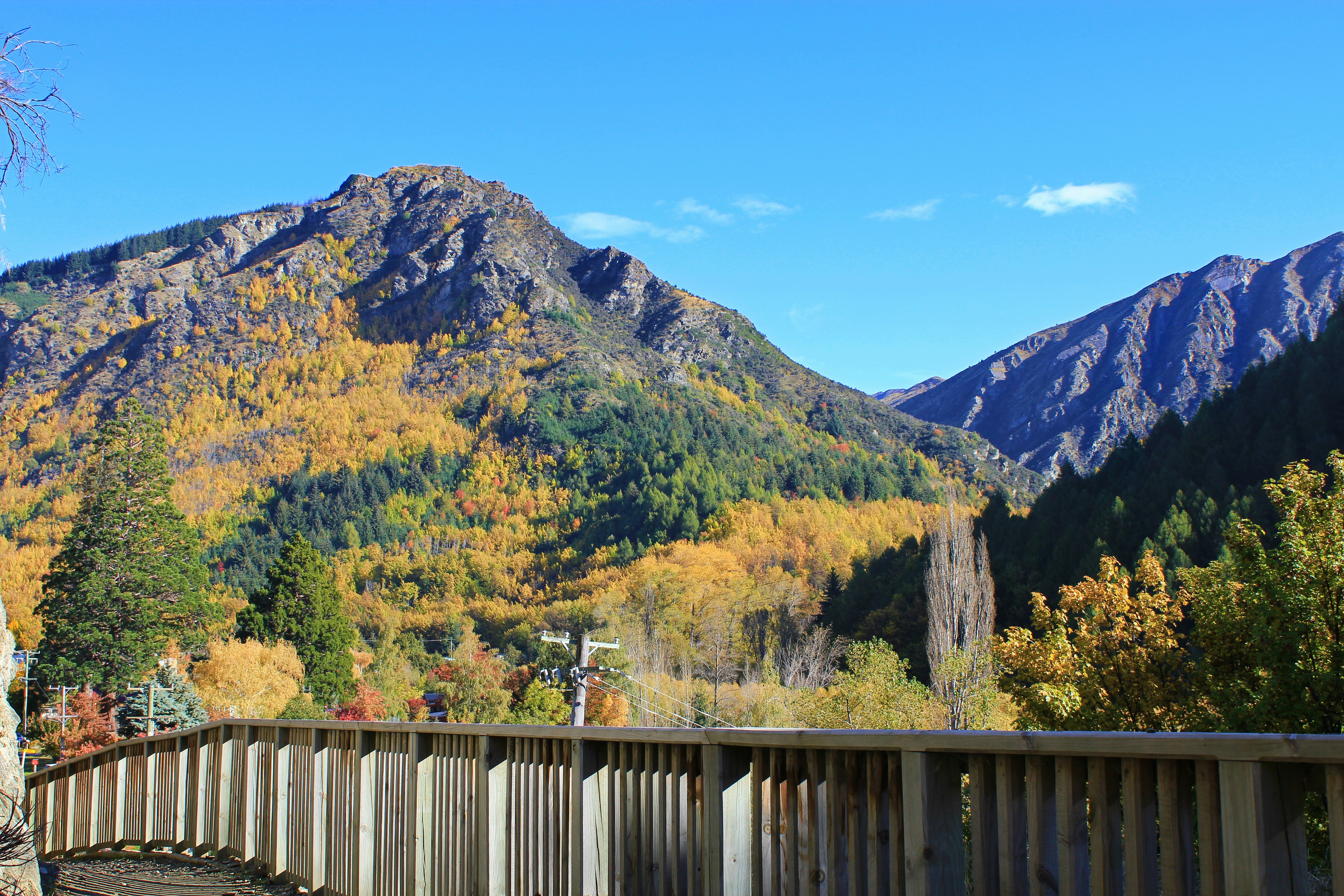 Photo by hayley_shen