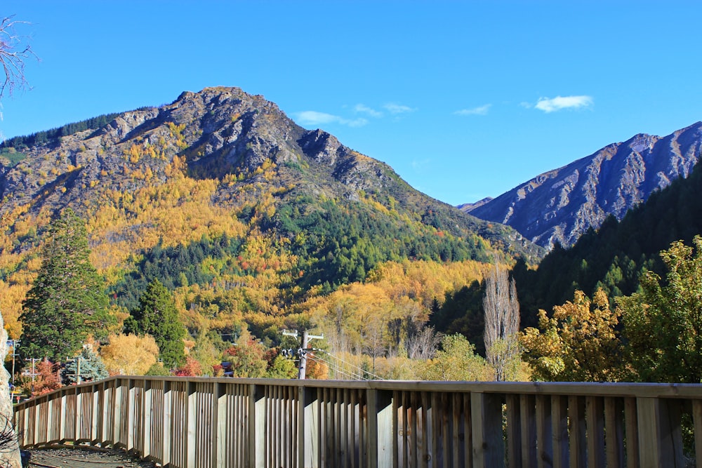 trees on mountain under blue sky