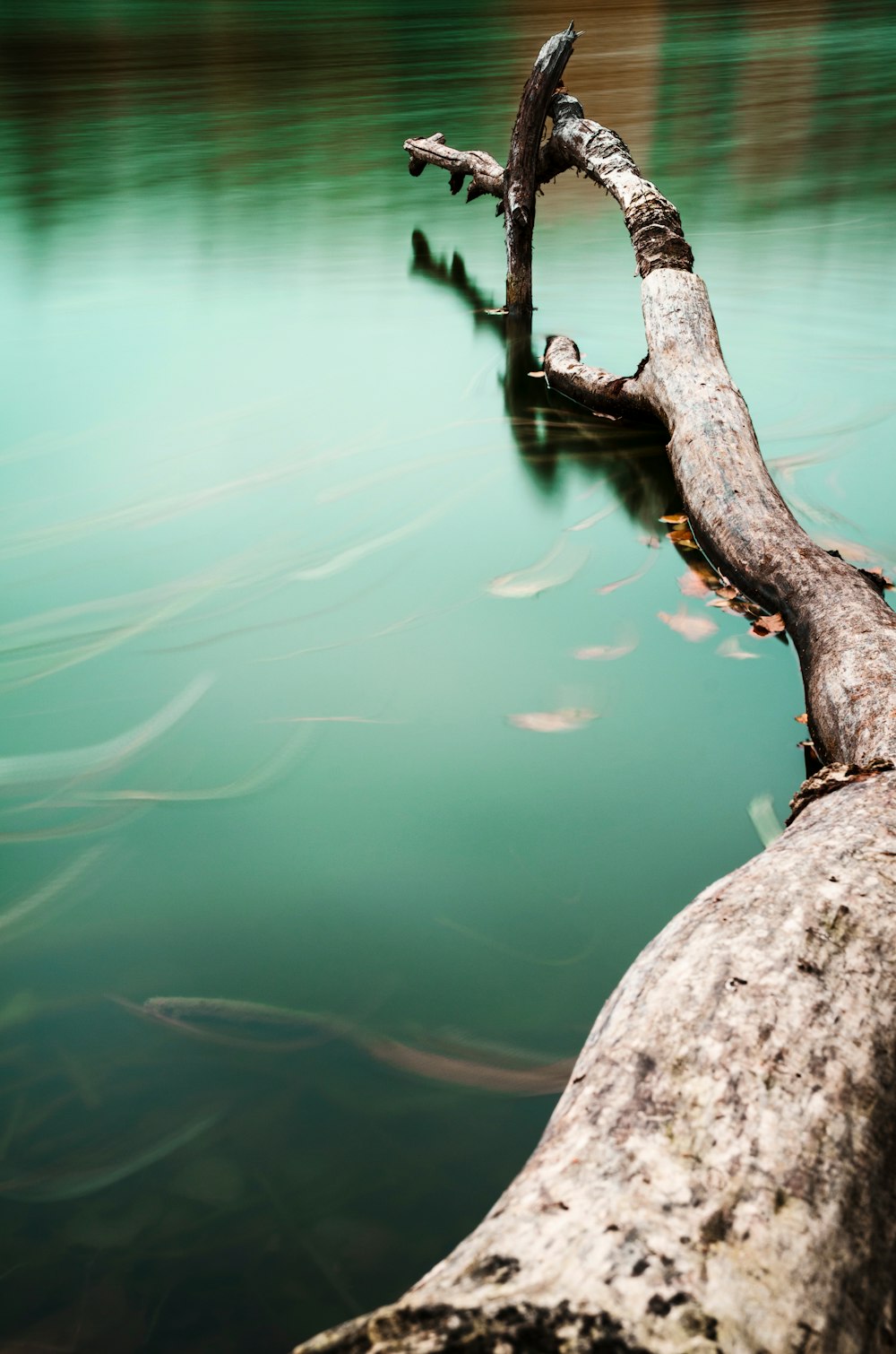 body of water photograph