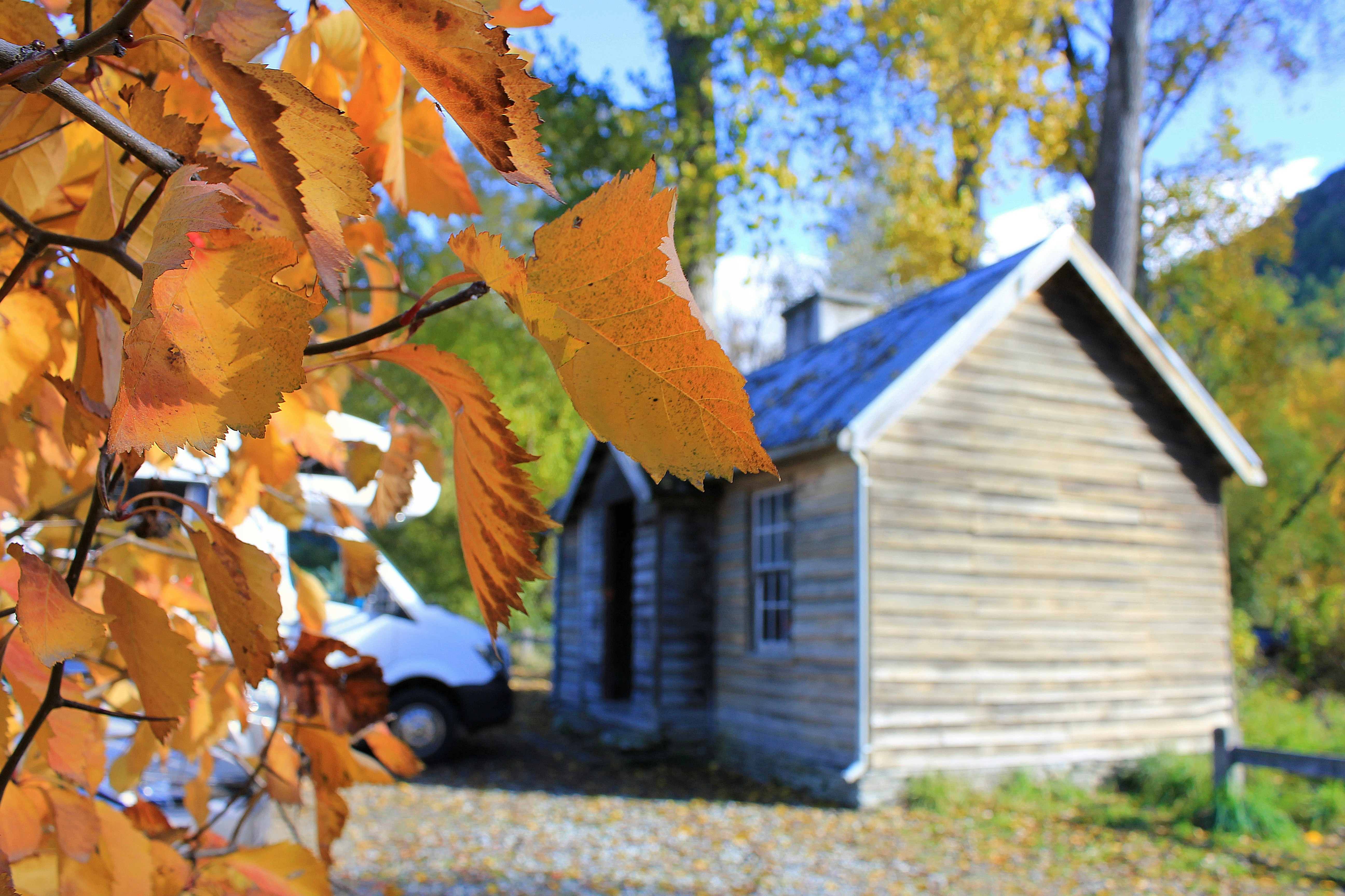 Photo by hayley_shen