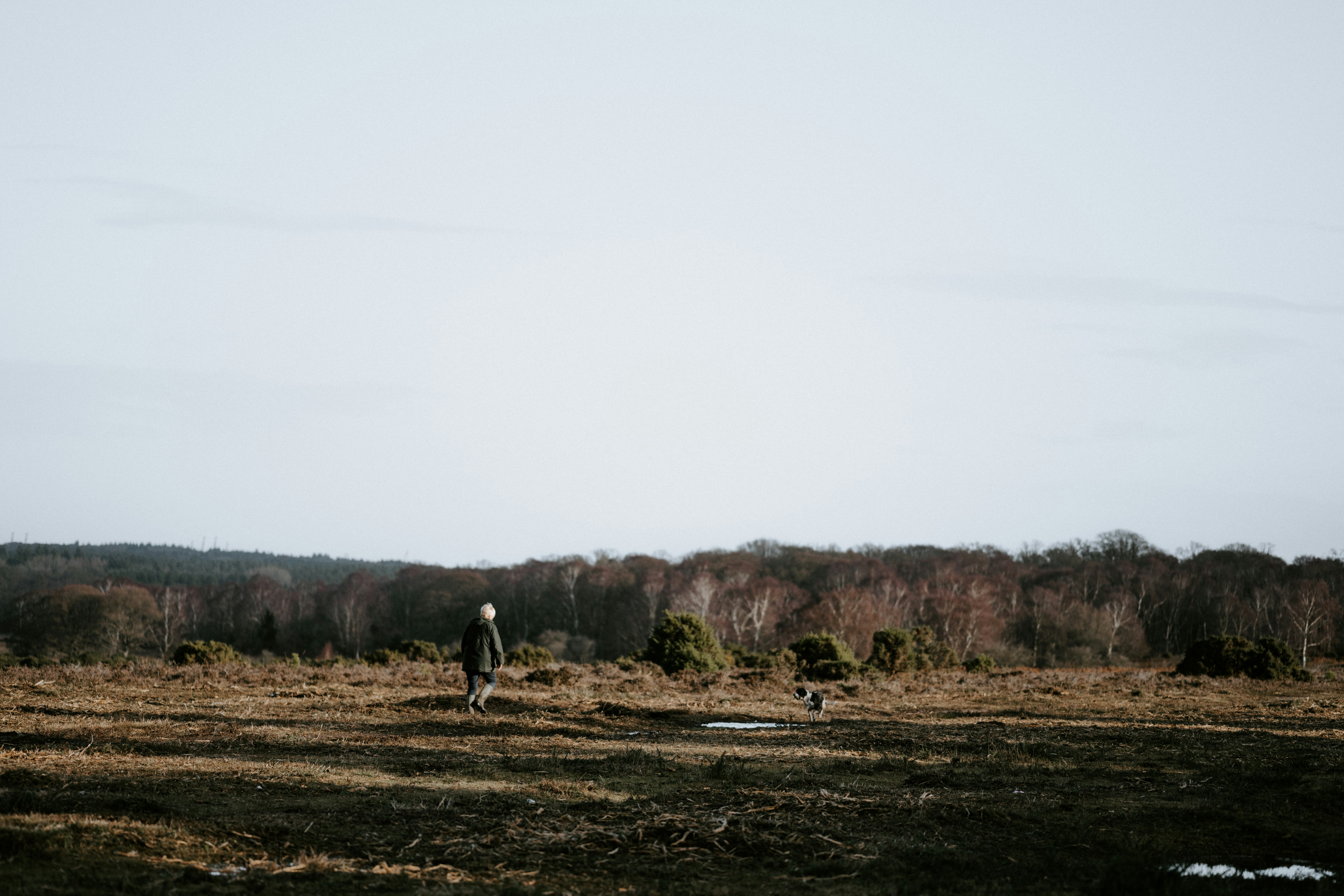 Photo by anniespratt