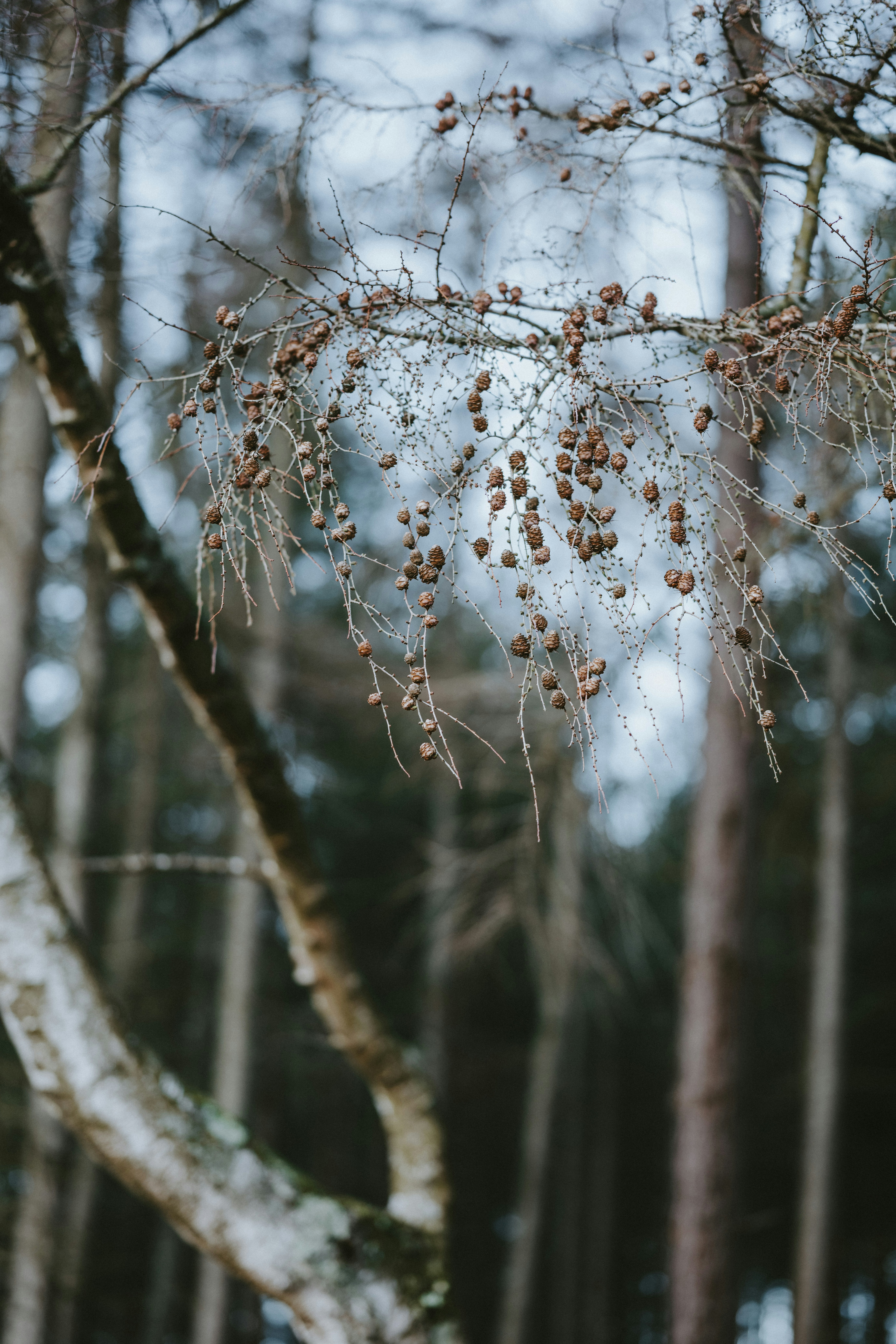 Photo by anniespratt