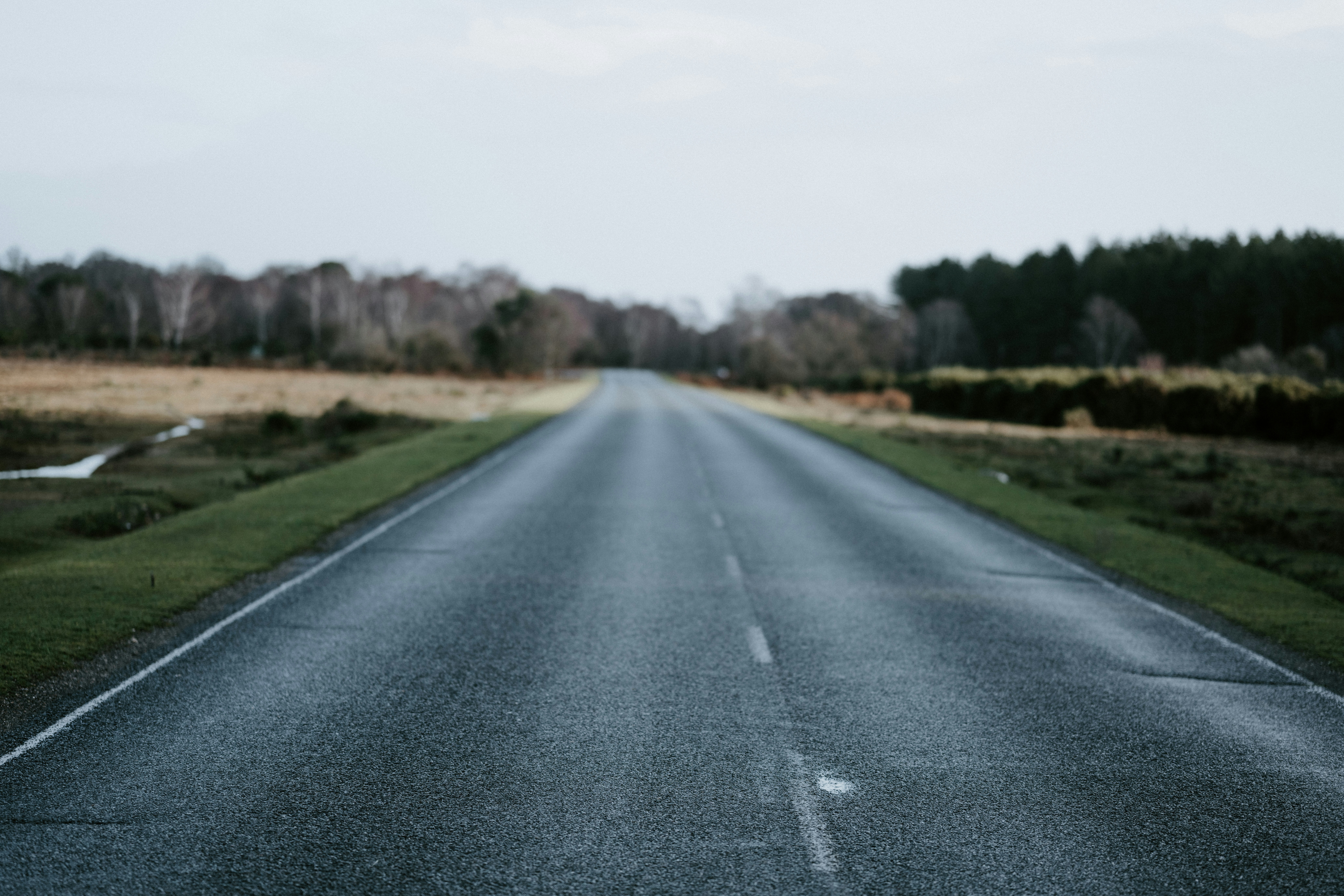 Photo by anniespratt