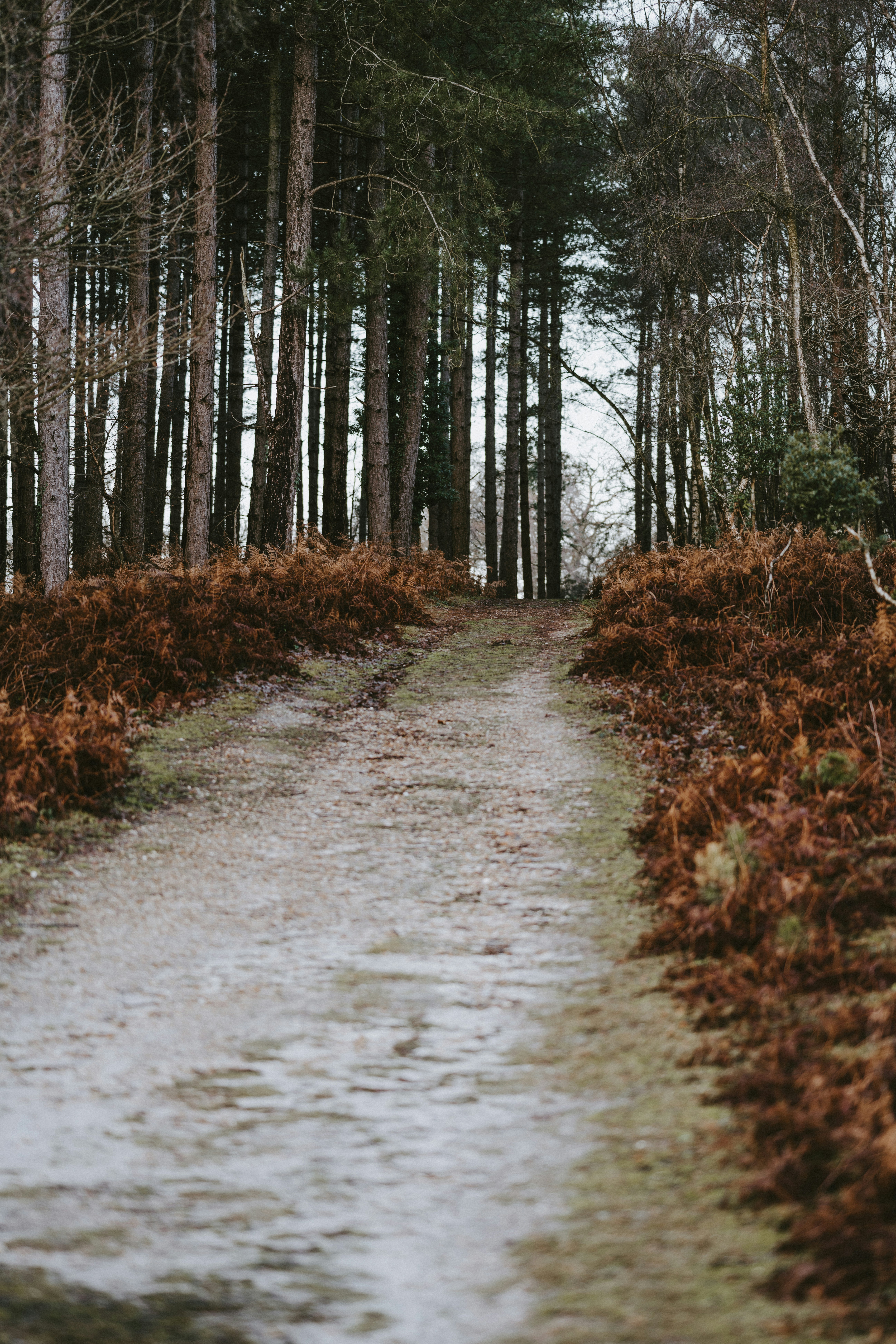 Photo by anniespratt