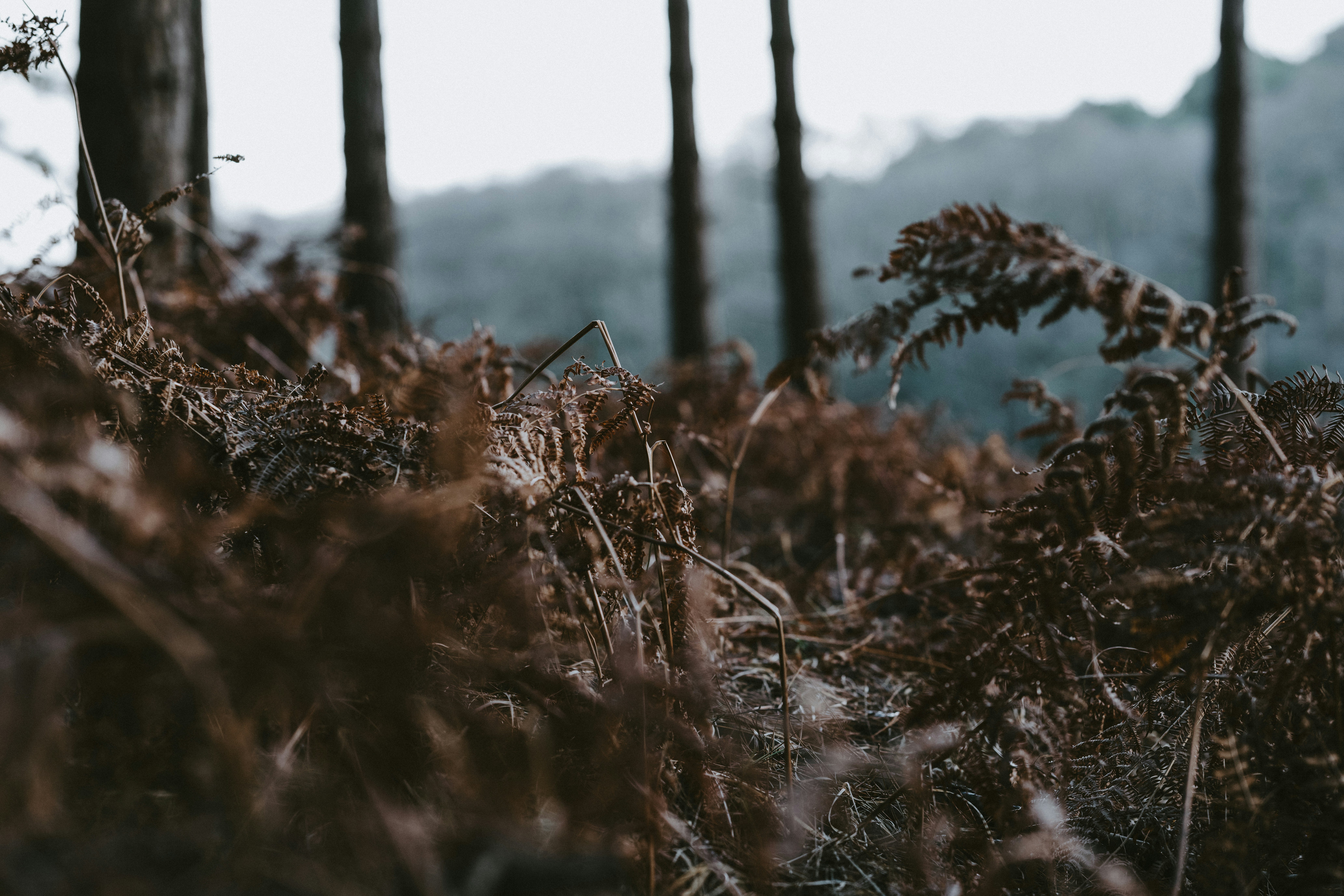 Photo by anniespratt