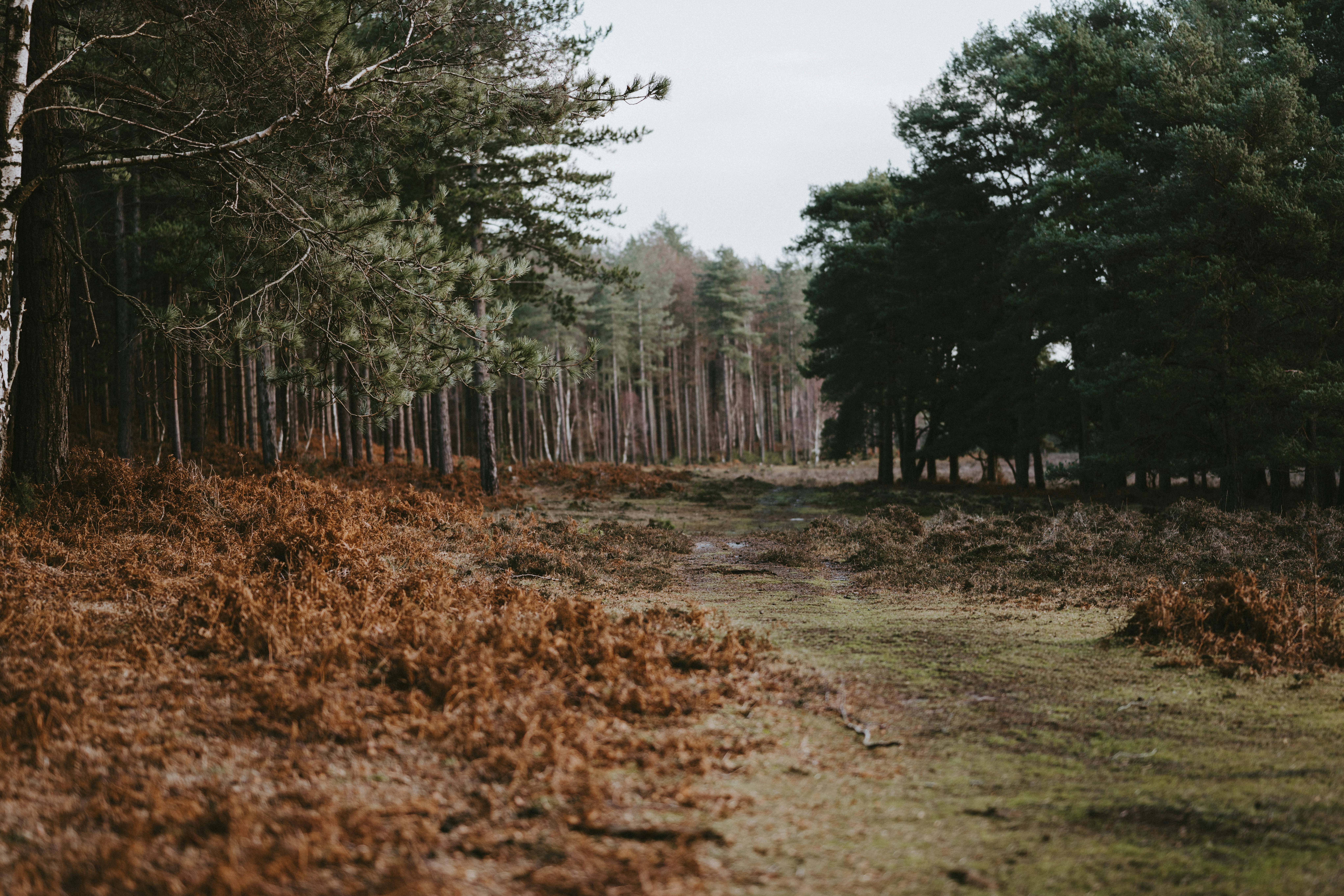 Photo by anniespratt