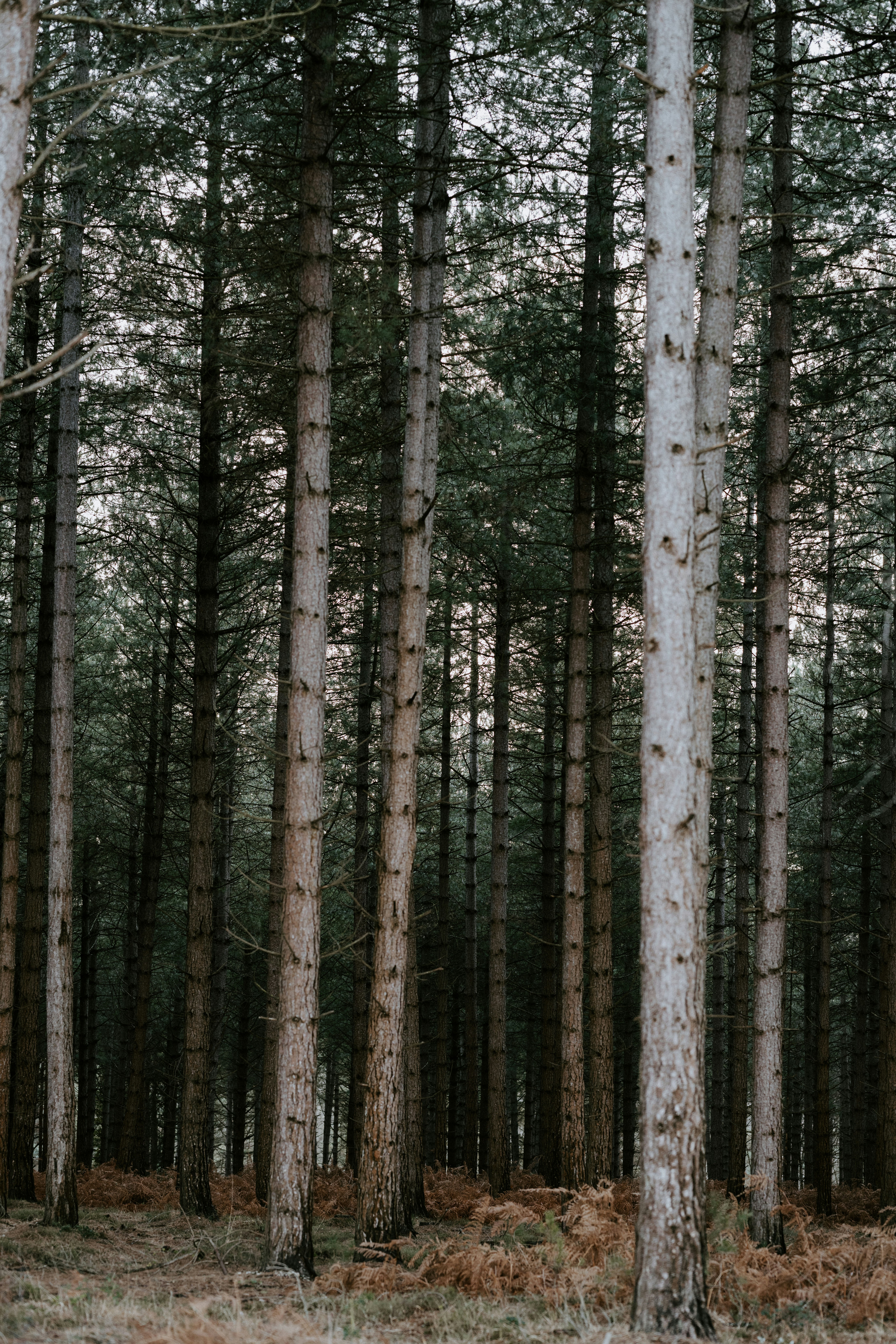 Photo by anniespratt