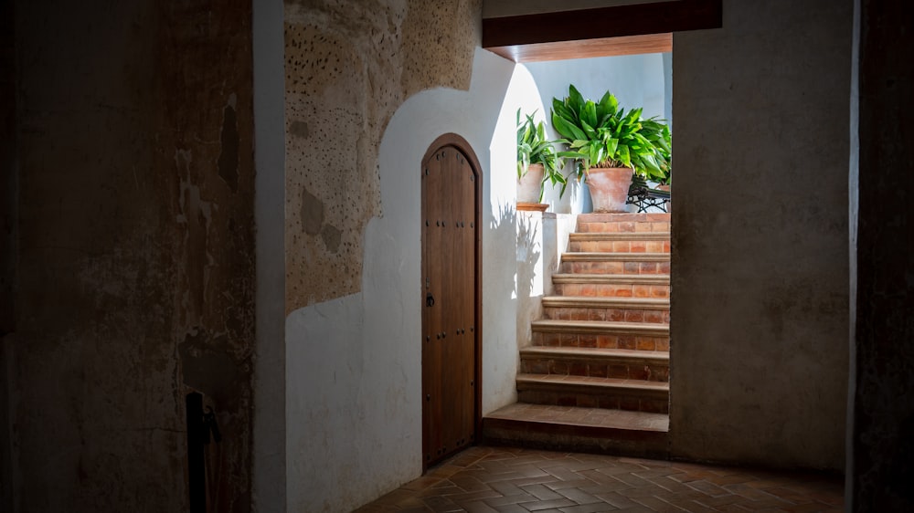 Edificio blanco que muestra la puerta cerrada