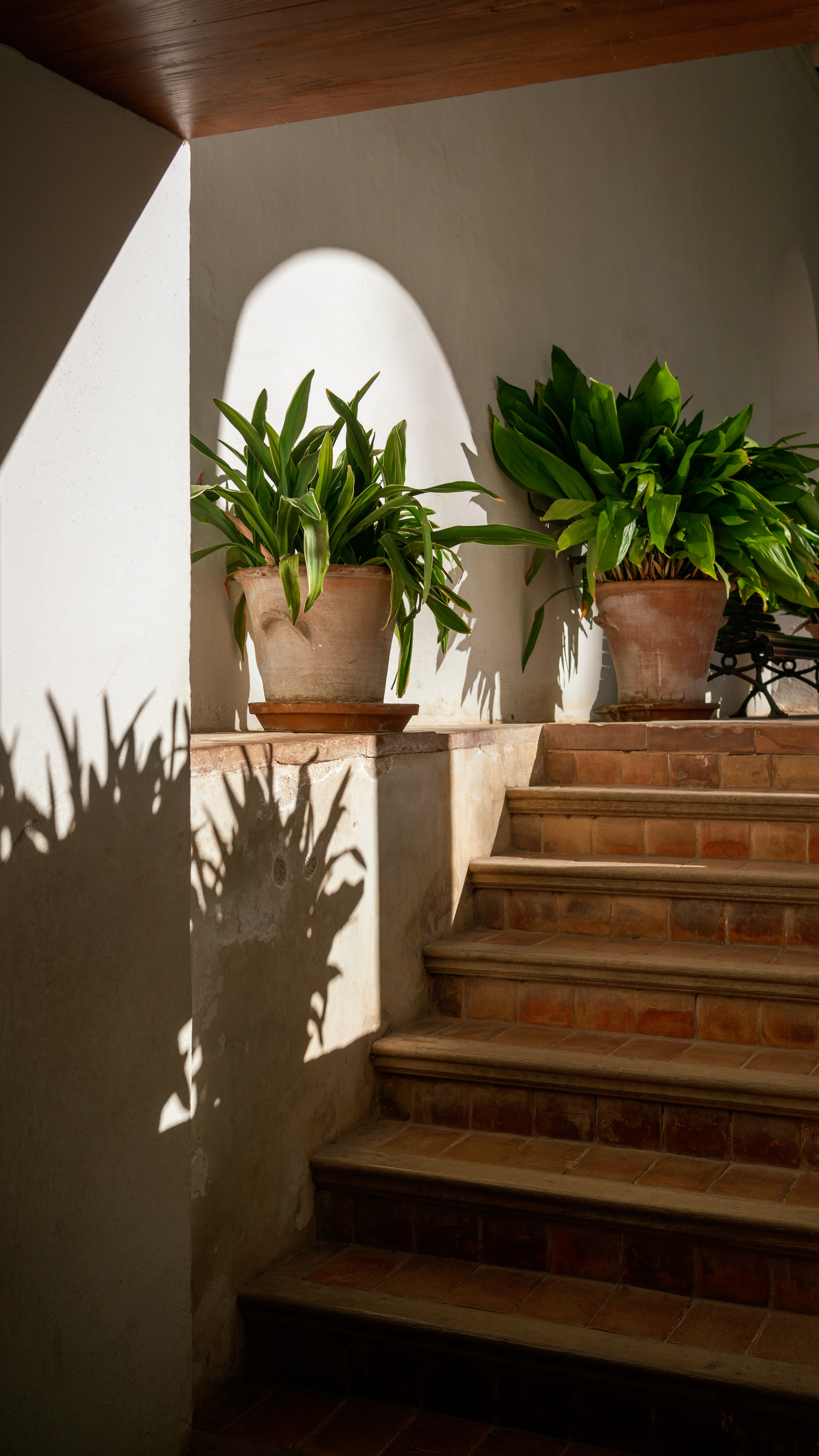 two green-leafed potted plants in the staircase