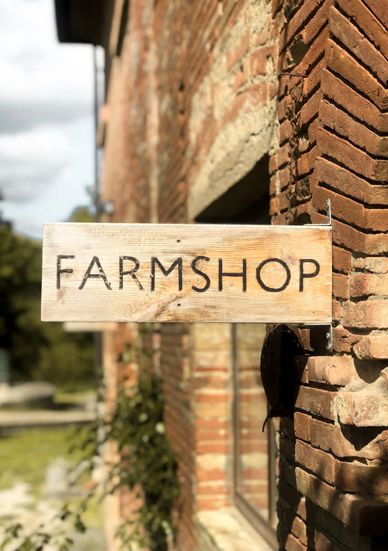 Handmade wooden sign with hand-painted lettering on rustic timber
