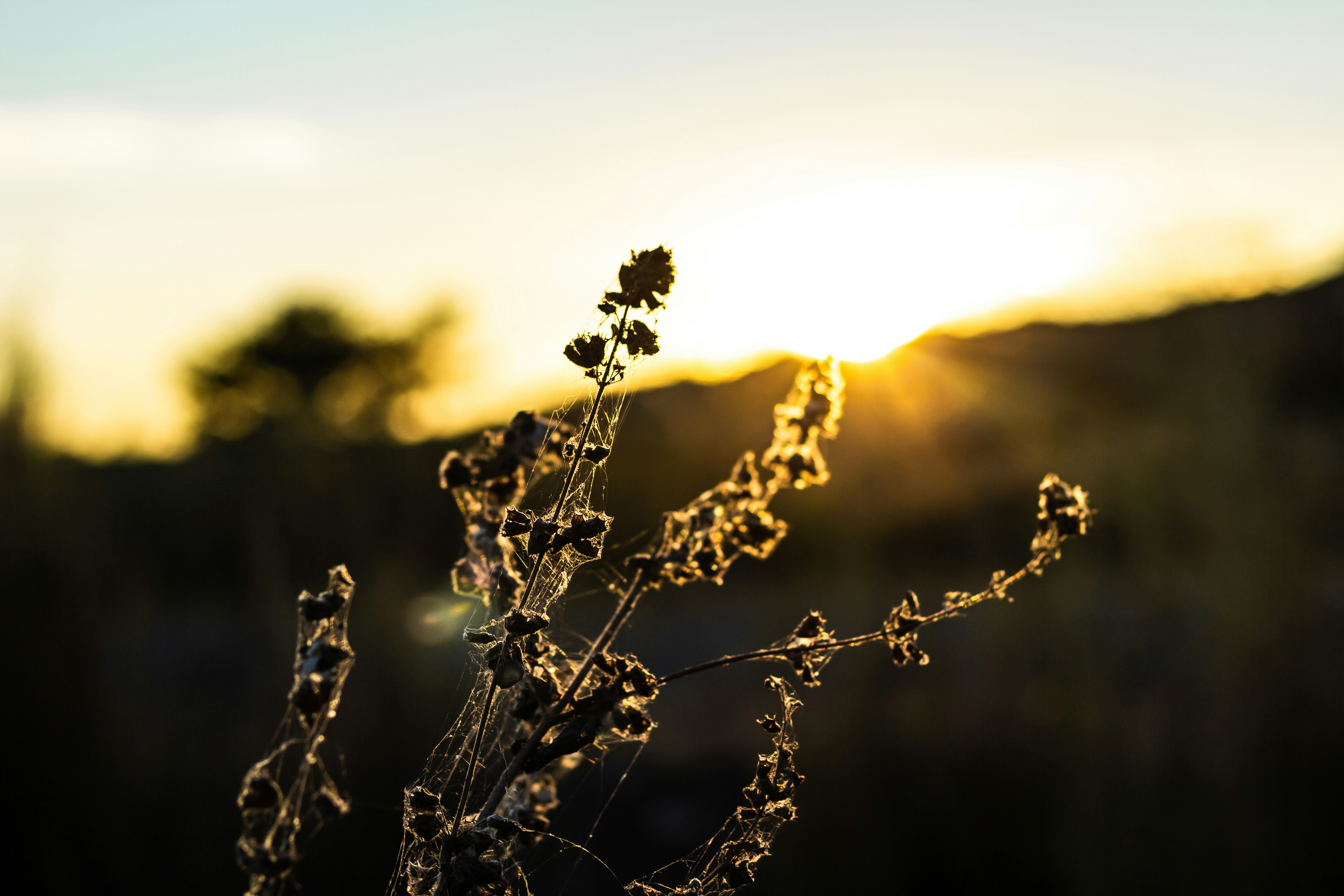 Photo by clintoinks_0522