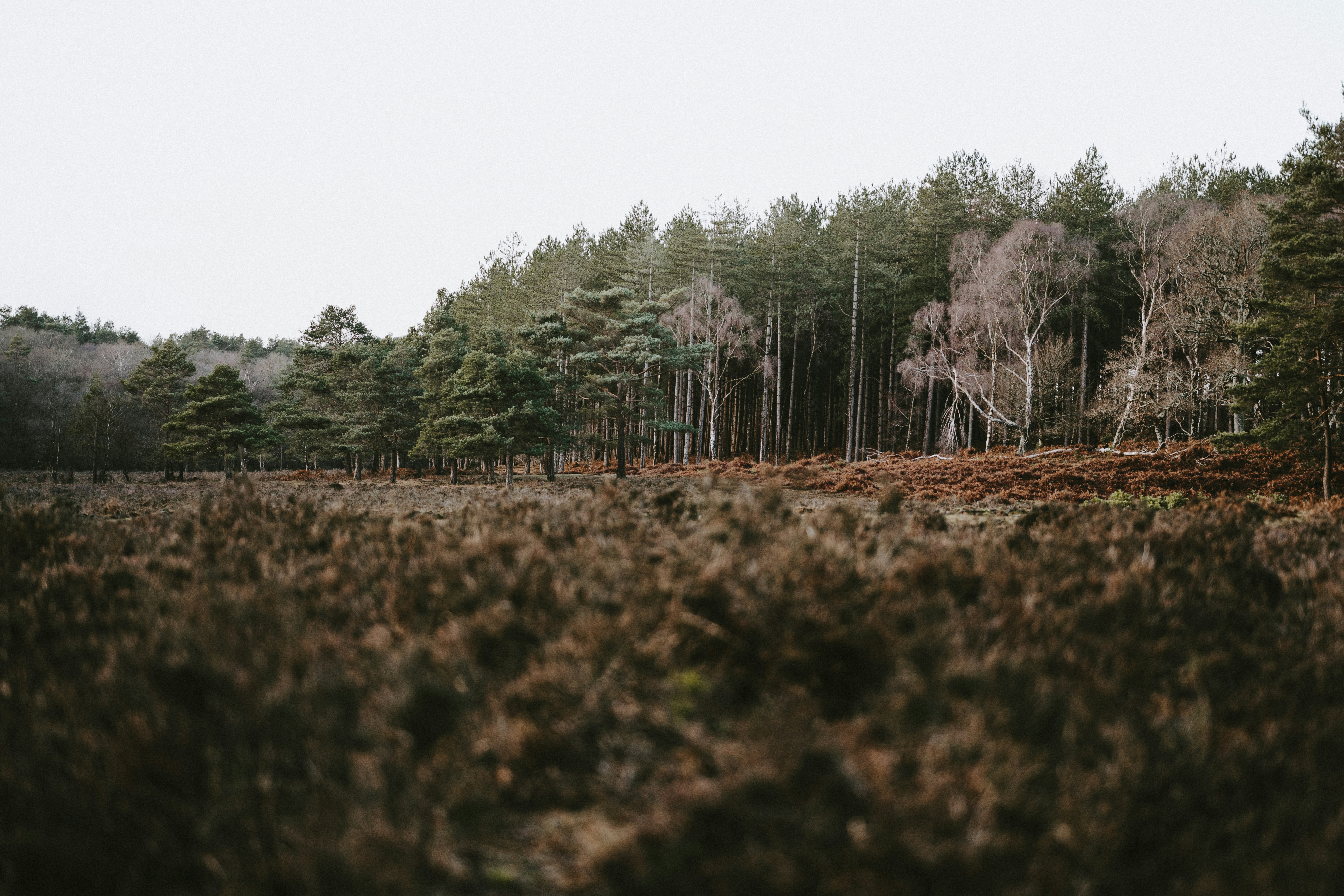 Northwood Athlectic Fields
