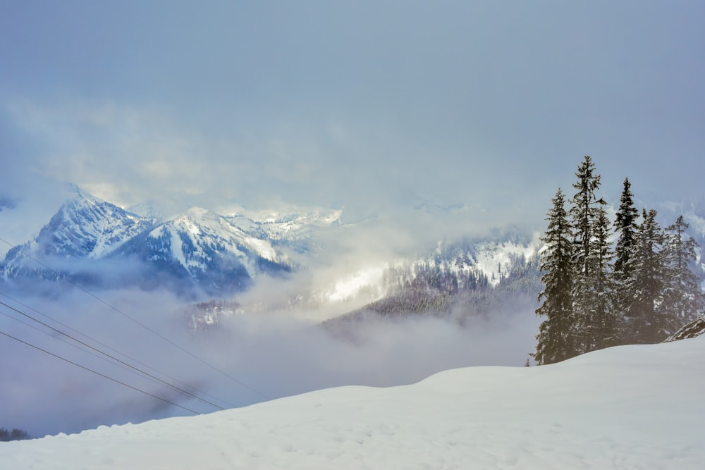 snow-covered mountain