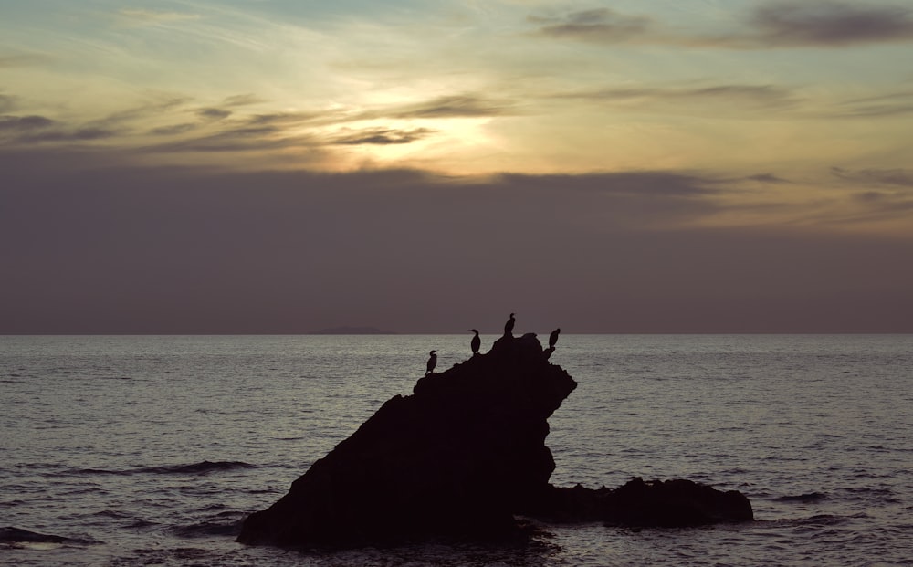 silhouette of island