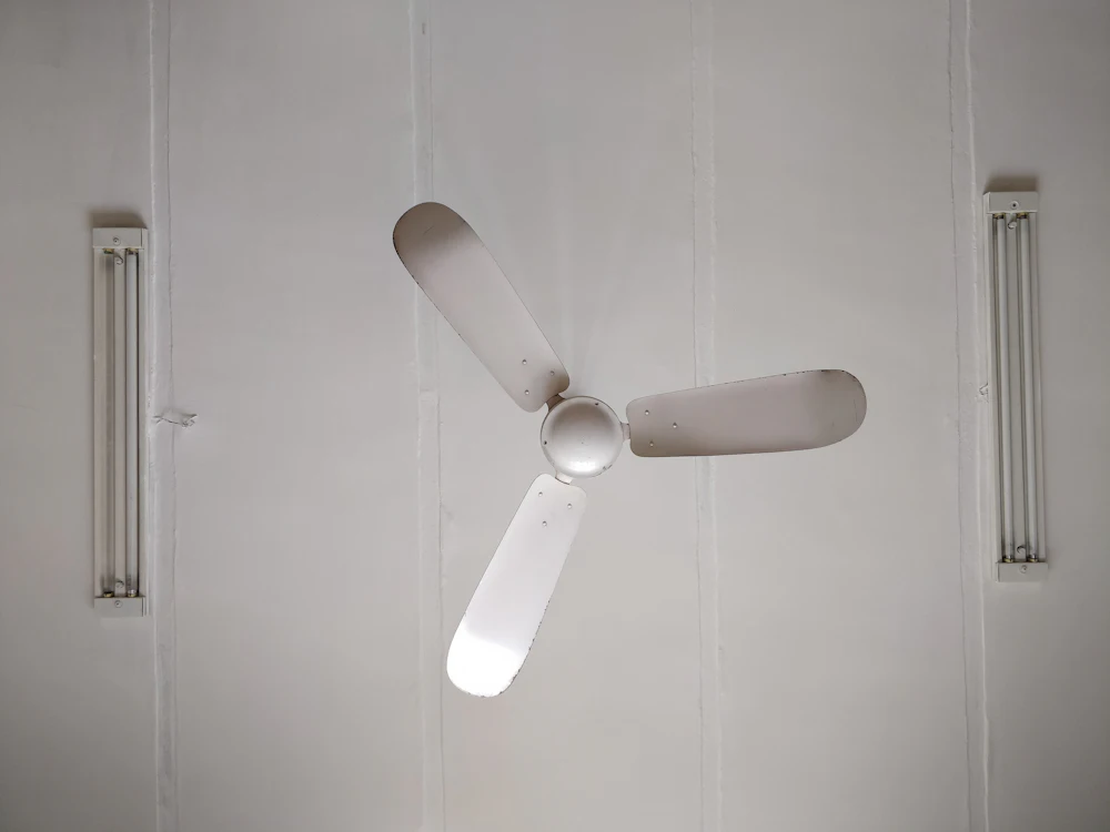 celling fan medium blade