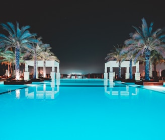 swimming pool between green palm trees at night