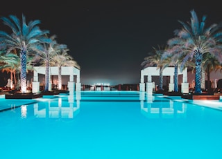 swimming pool between green palm trees at night
