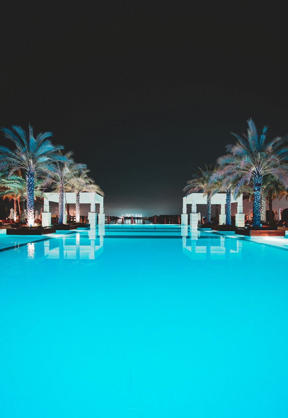 swimming pool between green palm trees at night