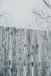 A sturdy wood-plastic composite fence standing tall in a snowy Canadian backyard.