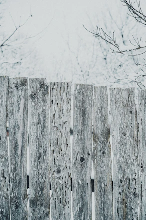 A sturdy wood-plastic composite fence standing tall in a snowy Canadian backyard.