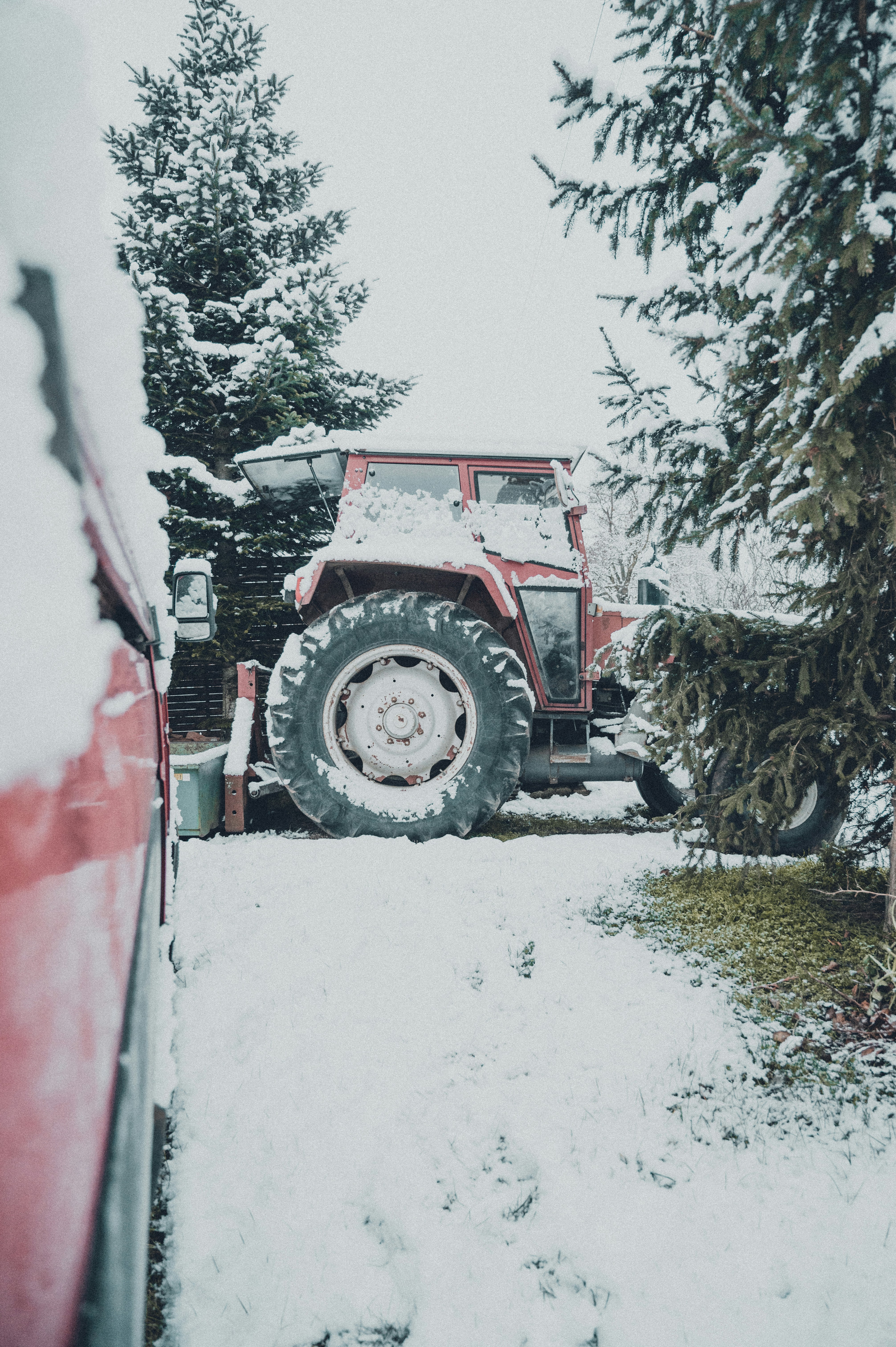 Photo by darabosralph