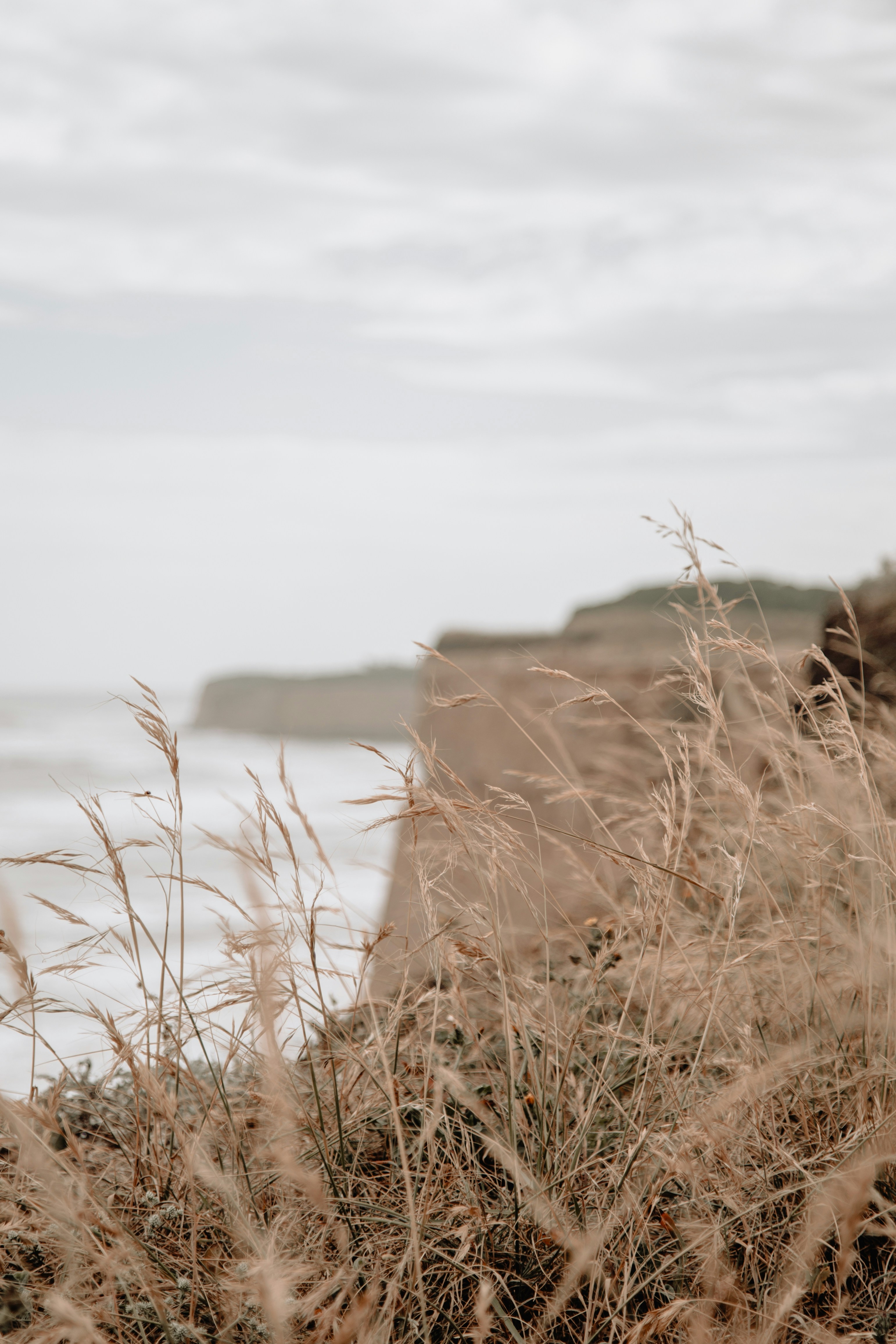 Photo by nikoherrera