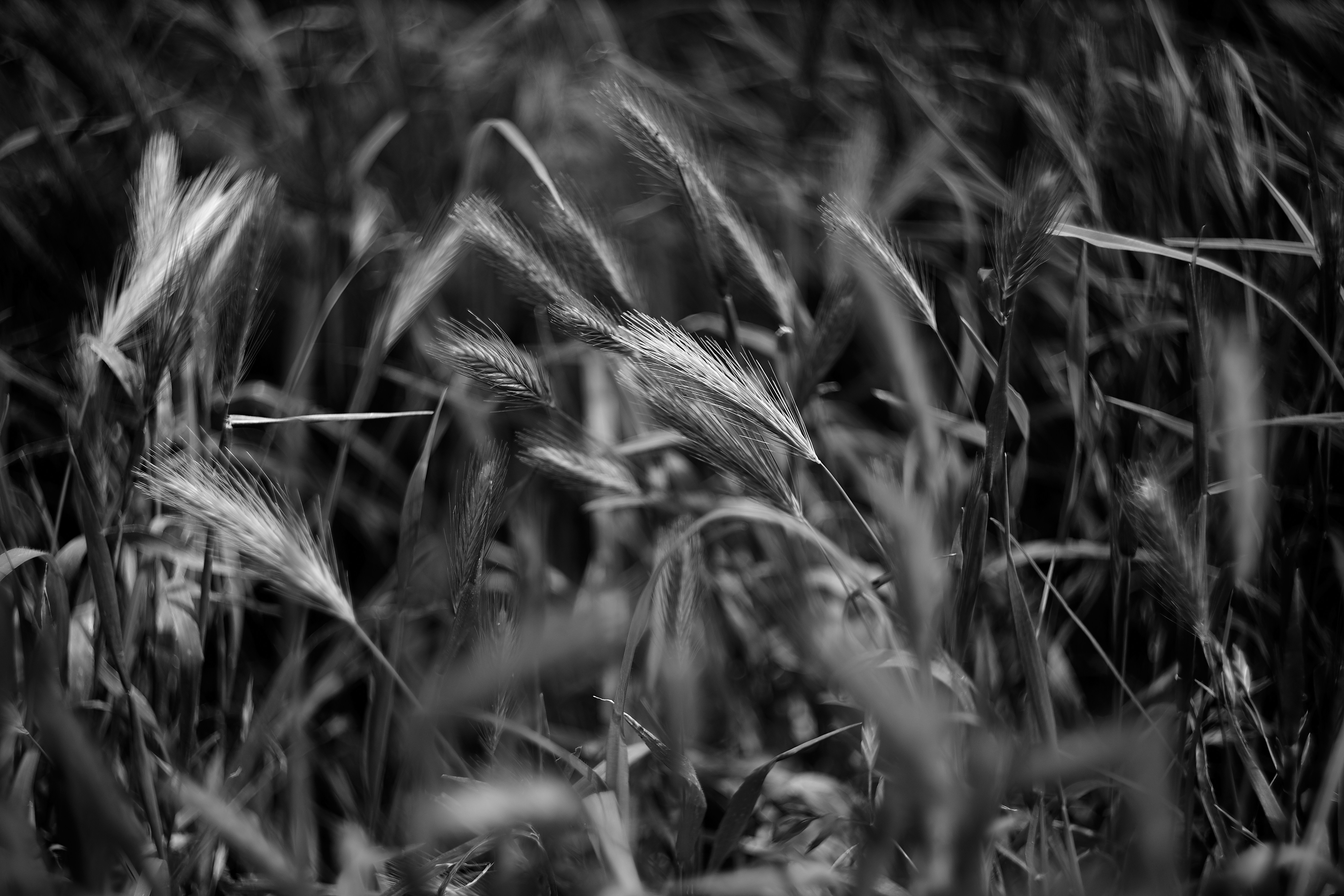 Photo by kameragraaf