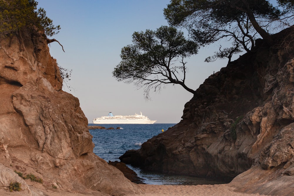 pathway leading to the sea during daytime