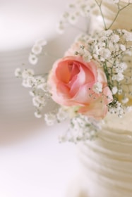 A romantic photo of the couple surrounded by pastel pink flowers.