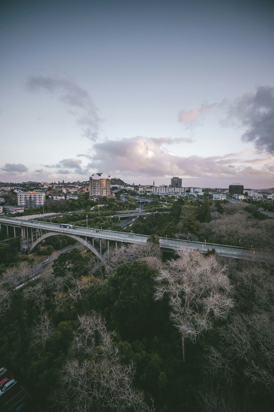 travelers stories about Hill in Auckland, New Zealand